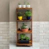 Horta Vertical Estante Escada